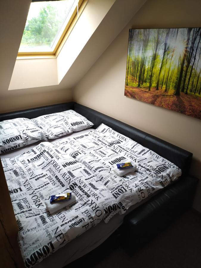 Podkrovní apartmán v přírodě, vhodný k relaxaci i na služební cesty Apartamento Cerna u Bohdance Exterior foto