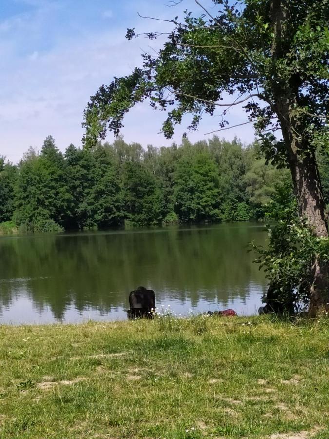 Podkrovní apartmán v přírodě, vhodný k relaxaci i na služební cesty Apartamento Cerna u Bohdance Exterior foto