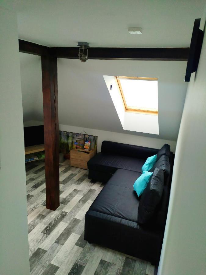 Podkrovní apartmán v přírodě, vhodný k relaxaci i na služební cesty Apartamento Cerna u Bohdance Exterior foto