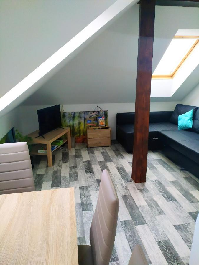 Podkrovní apartmán v přírodě, vhodný k relaxaci i na služební cesty Apartamento Cerna u Bohdance Exterior foto