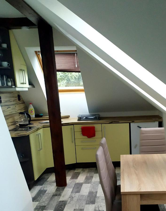 Podkrovní apartmán v přírodě, vhodný k relaxaci i na služební cesty Apartamento Cerna u Bohdance Exterior foto